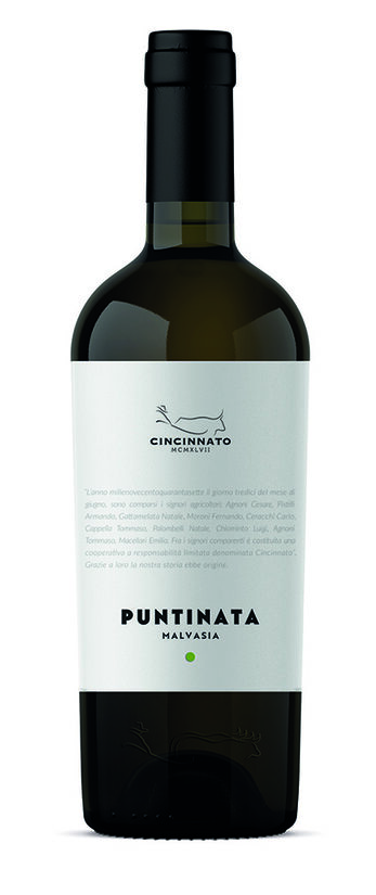 Puntinata - Malvasia IGT 2024