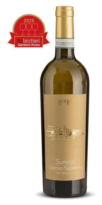 Custoza Superiore DOC 2023 Organic «Summa»
